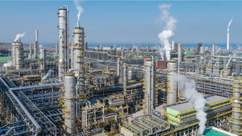 聚酯工厂为何卖力销货却难获织造青睐 无利可图的纺织市场与霓虹灯下的困局